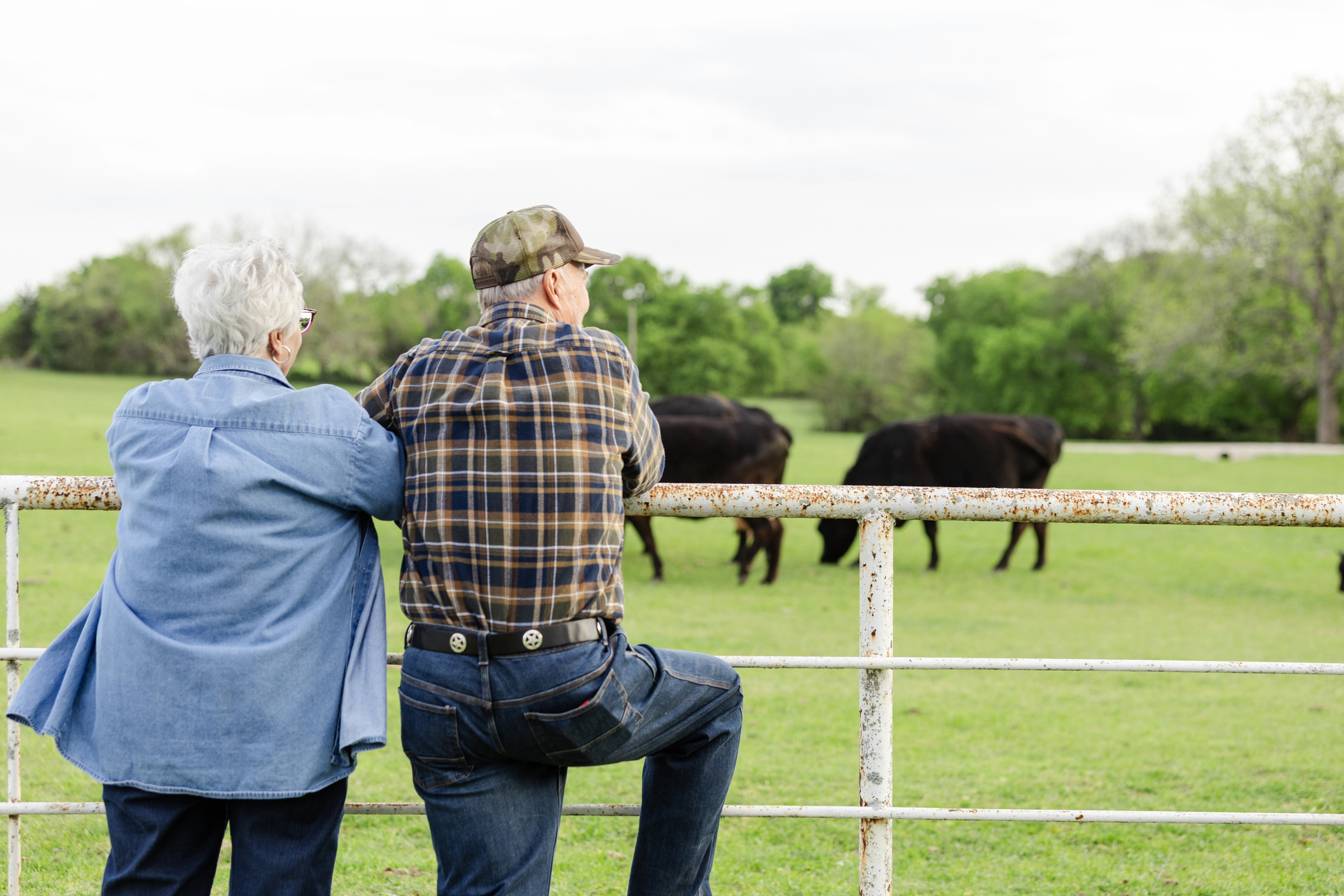 Healthy Aging Starts with Mental Health — Especially in Rural America